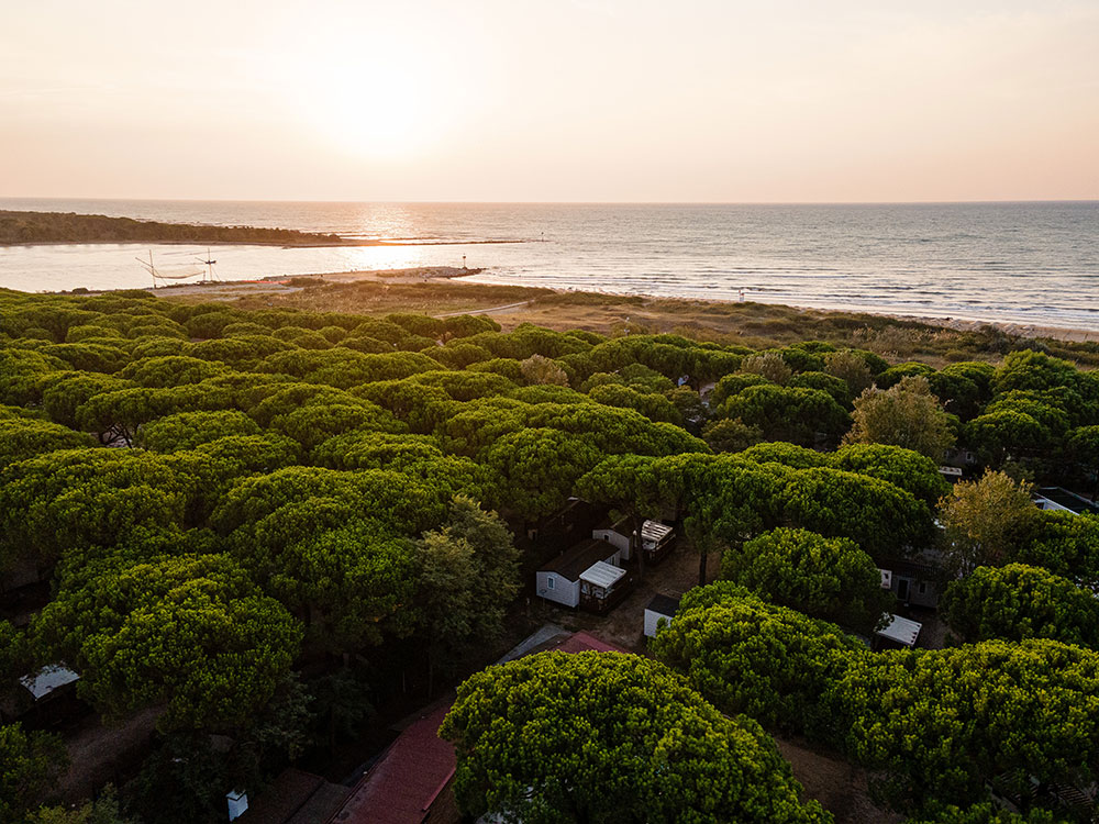 Autumn, how to the nostalgia of summer at Waikiki